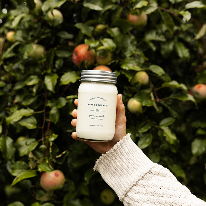 Apple Orchard