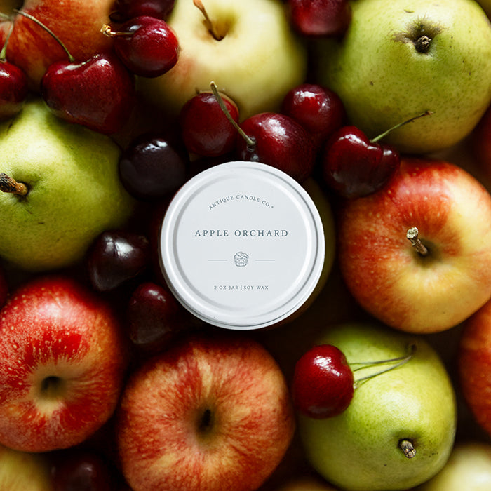 Fall Sample Candles