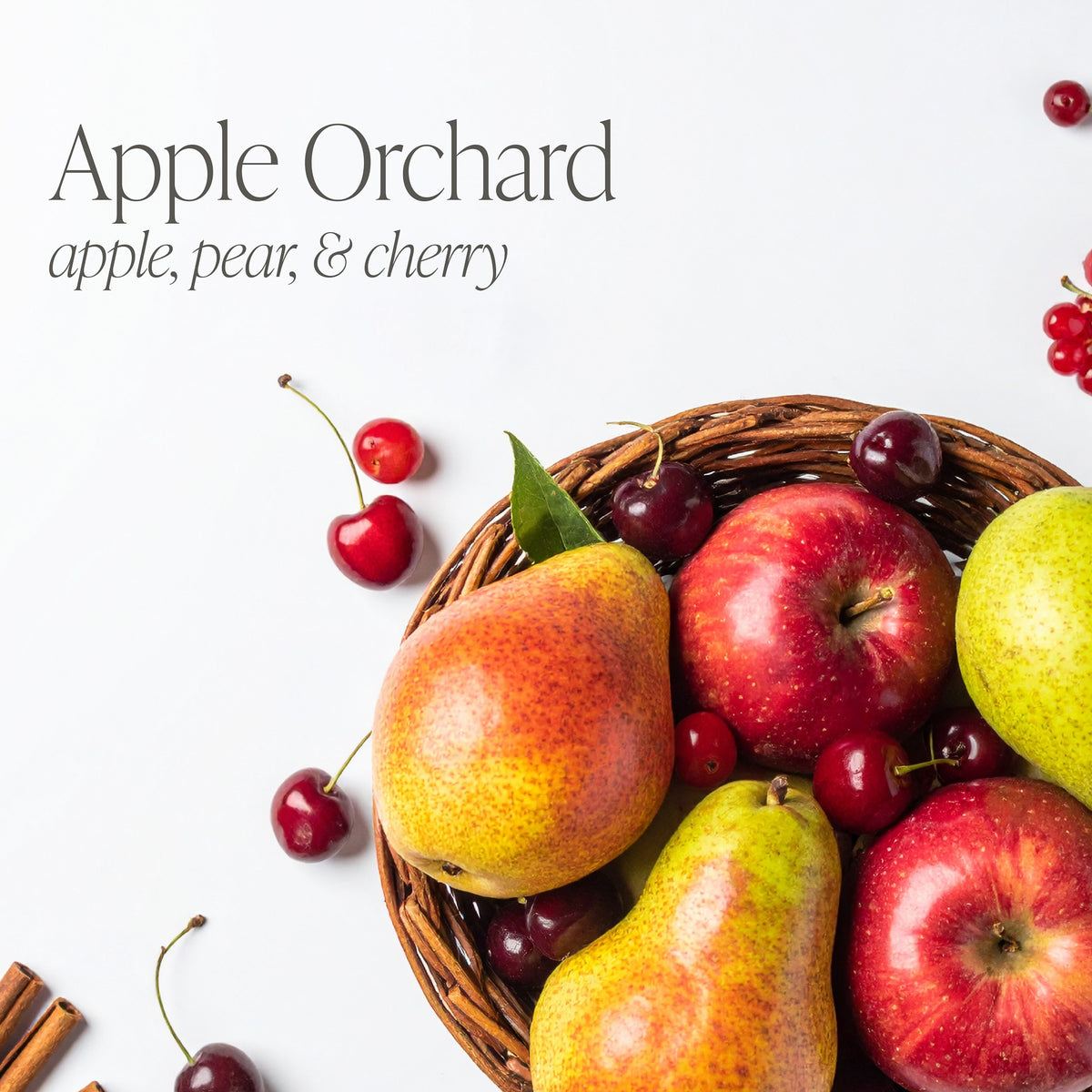 Apple Orchard