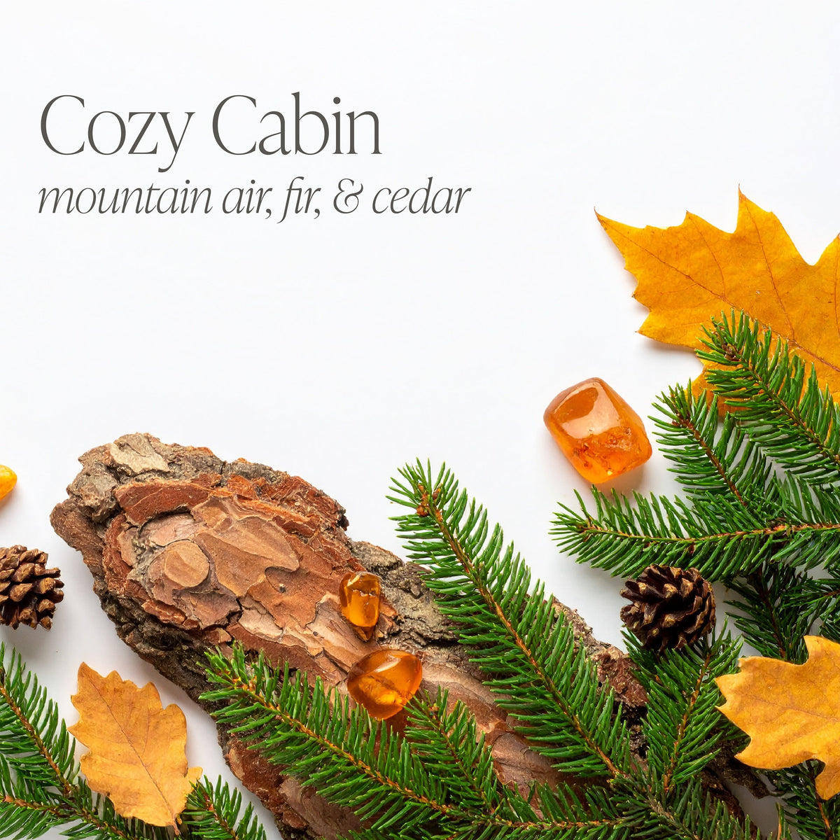 Cozy Cabin