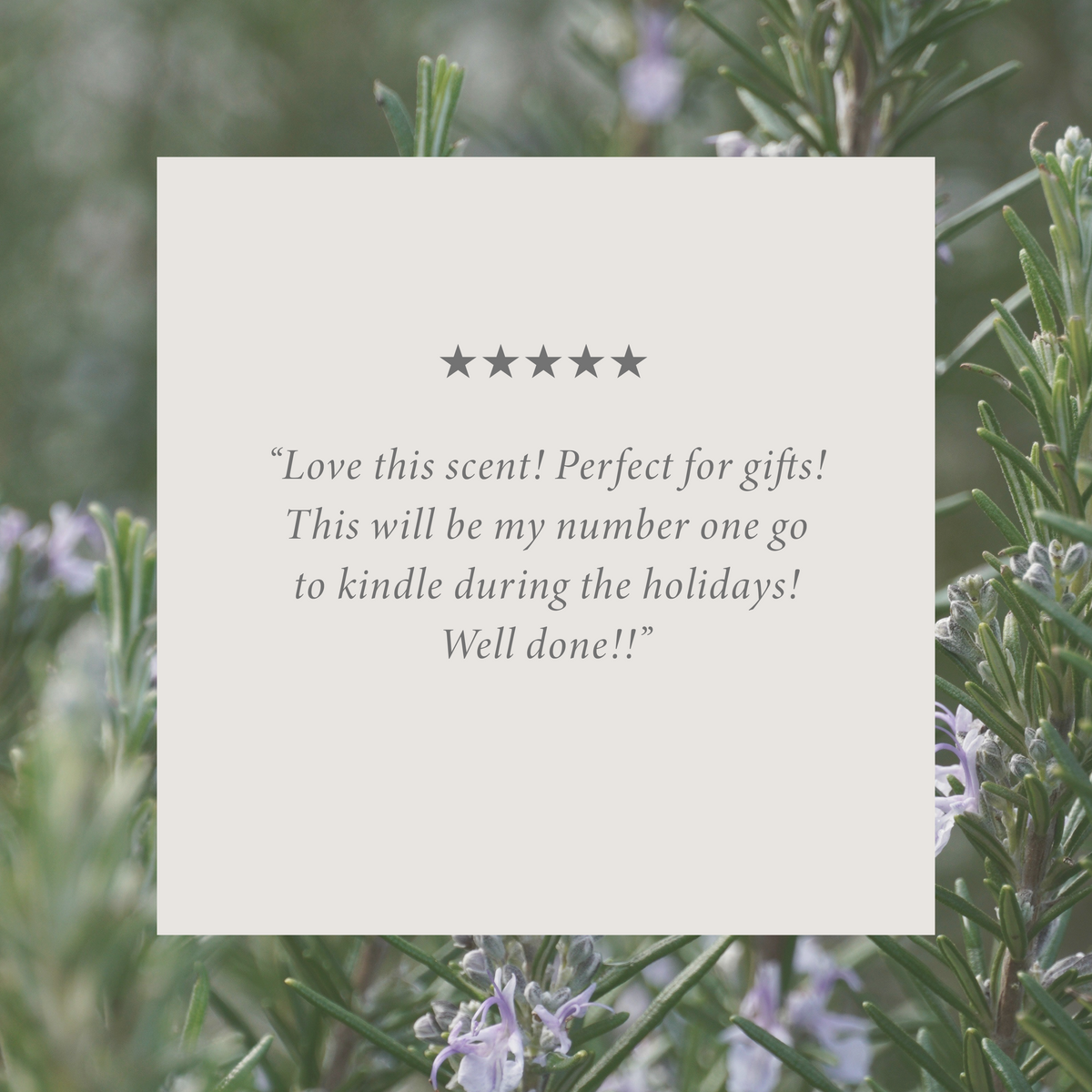 Country Pine by Allie Boss