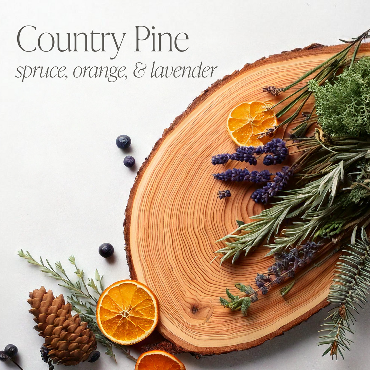 Country Pine by Allie Boss