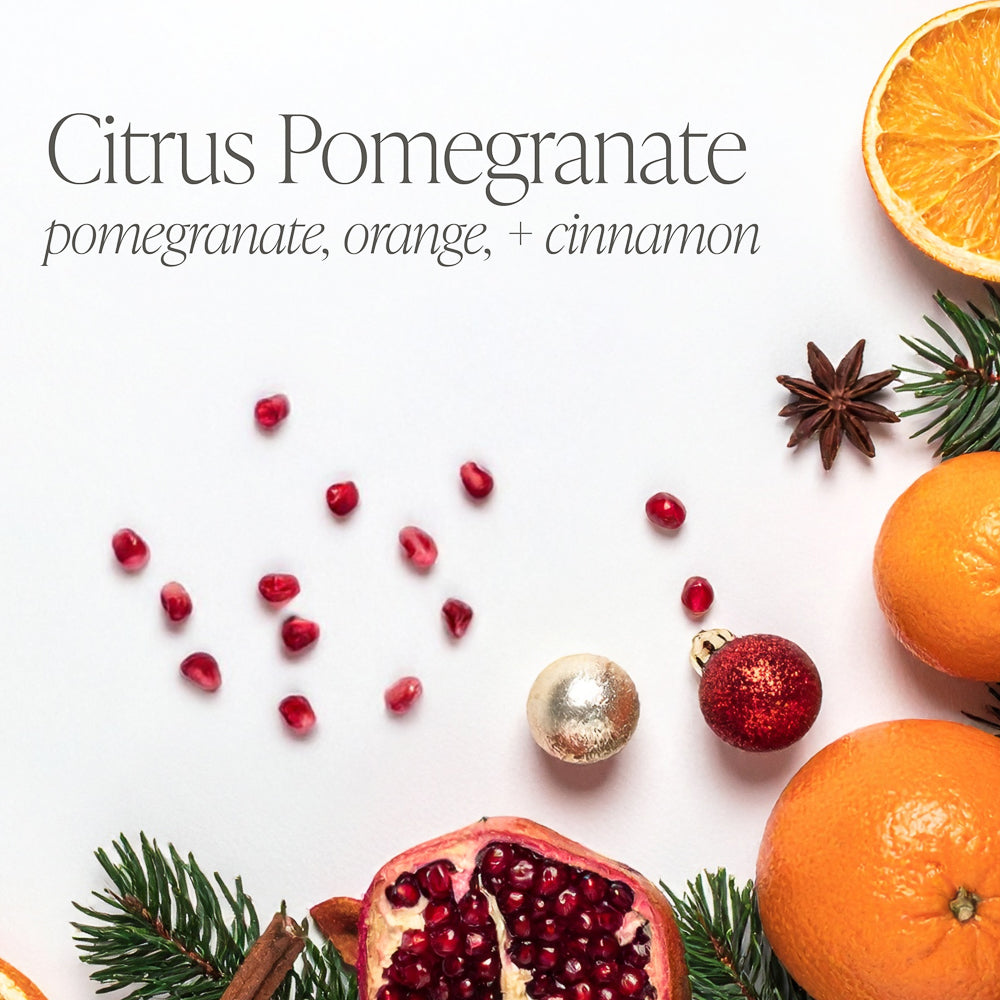 Citrus Pomegranate by Modern Farmhouse Family