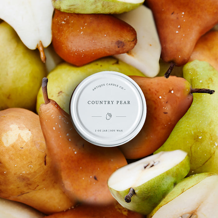 Year Round Sample Candles