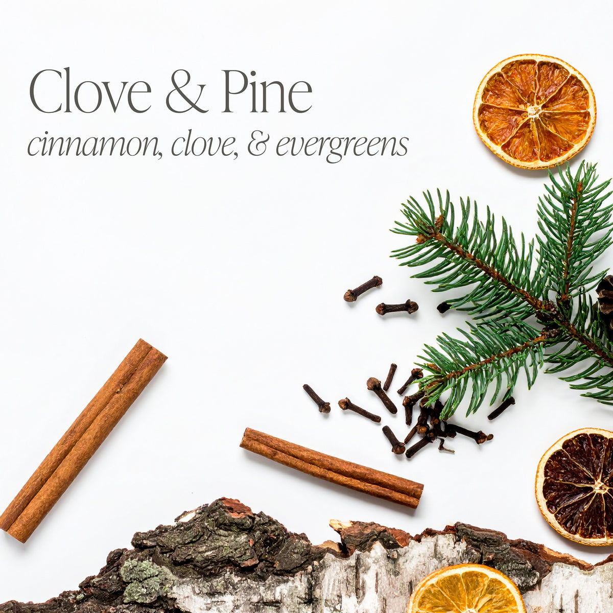 Clove & Pine