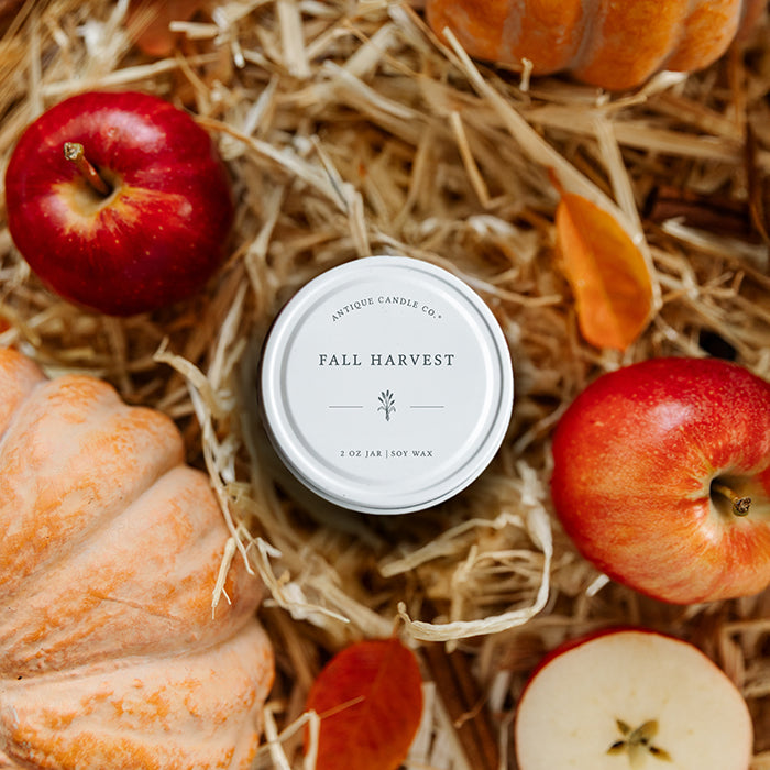 Fall Harvest
