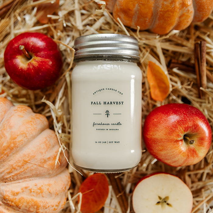 Fall Harvest 16 oz candle