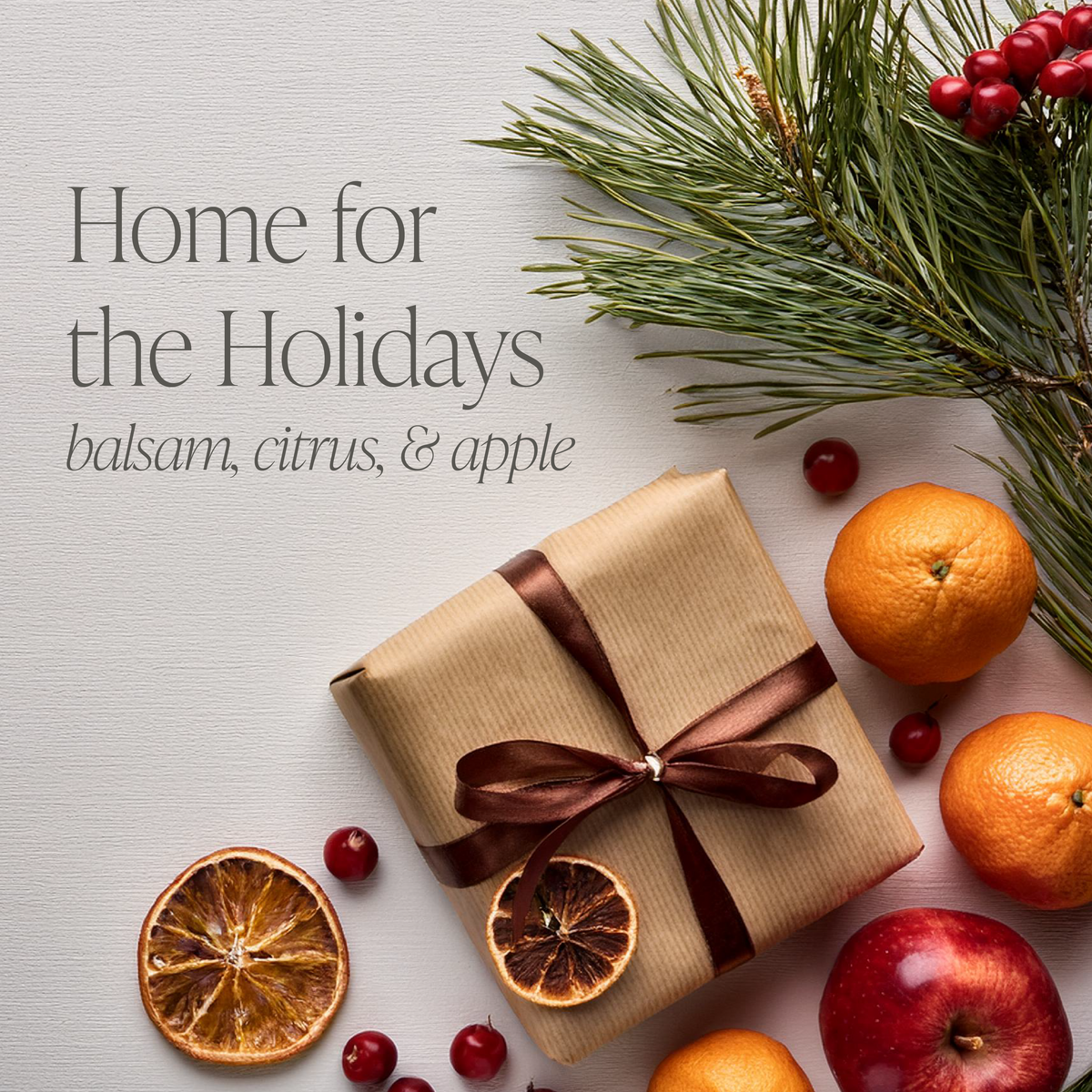 Home for the Holidays
