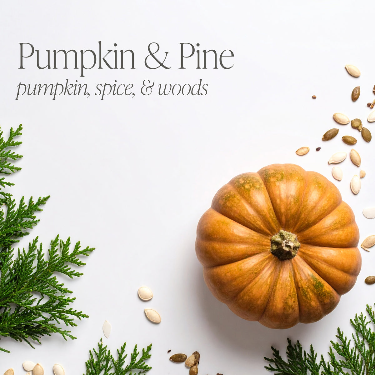 Pumpkin & Pine