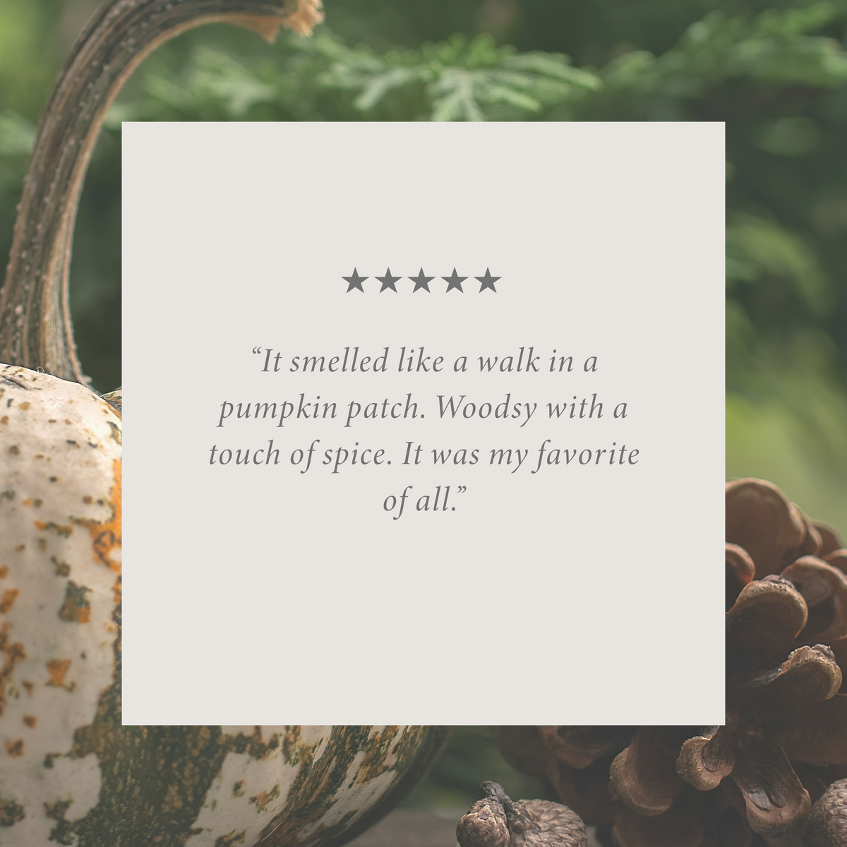 Pumpkin & Pine