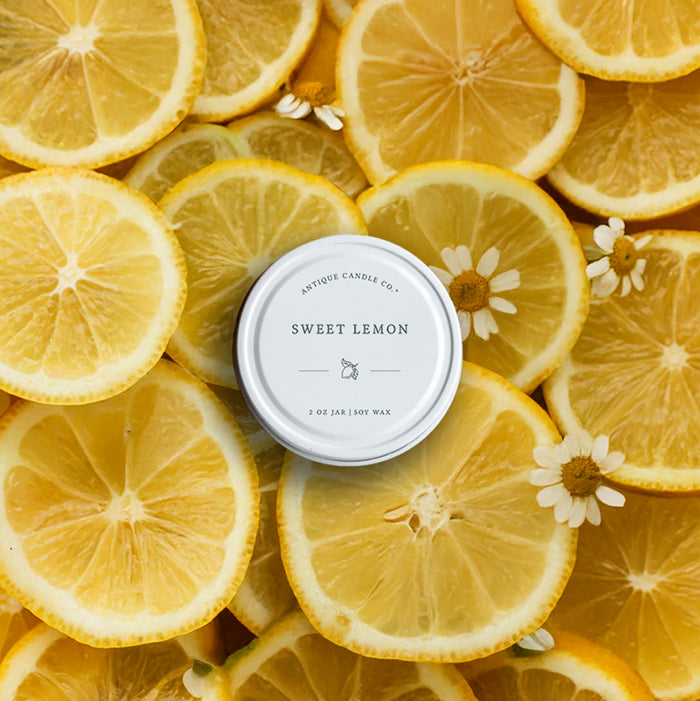 Year Round Sample Candles