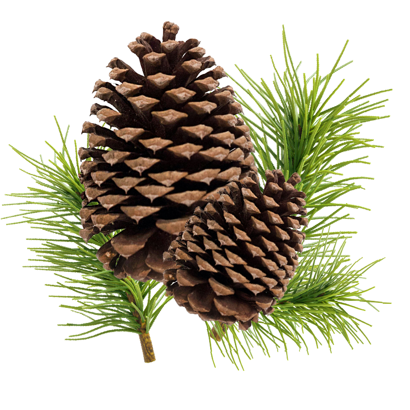 Woodsy